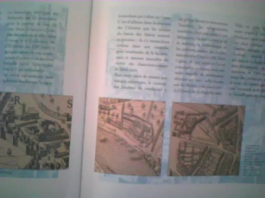extrait du plan dans l'ouvrage